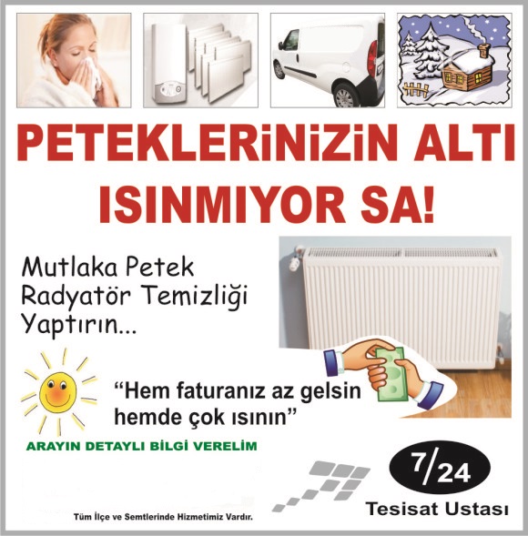 Çorlu Petek Temizliği